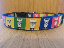 Load image into Gallery viewer, Leash/ Large/  Hipster Llamas
