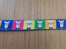 Load image into Gallery viewer, Leash/ Large/  Hipster Llamas

